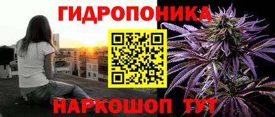 не бодяженный Кингисепп