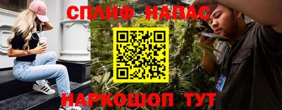 стафф Кинель